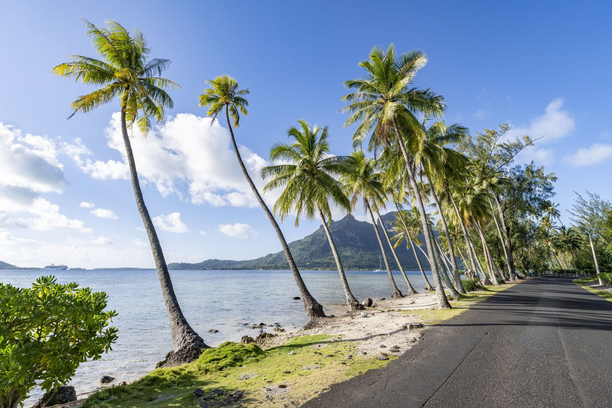 Pofai Bay Mural Wallpaper - pure wallpaper artwork