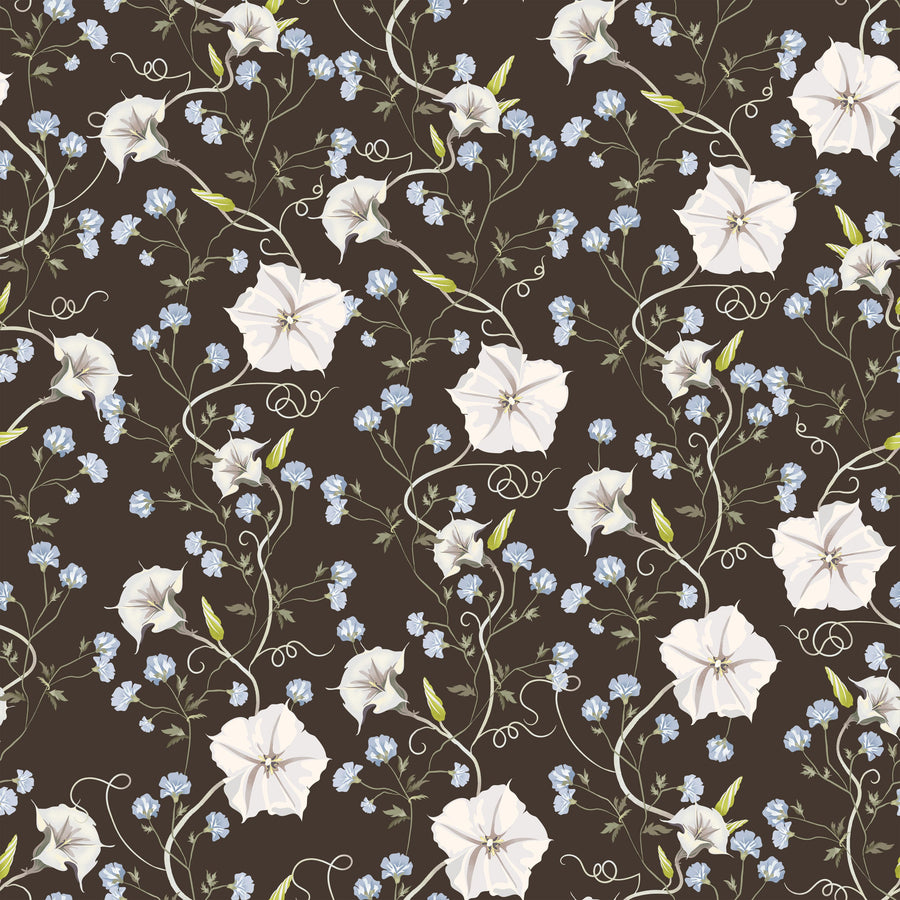 Trailing Morning Glory, Walnut Mural Wallpaper