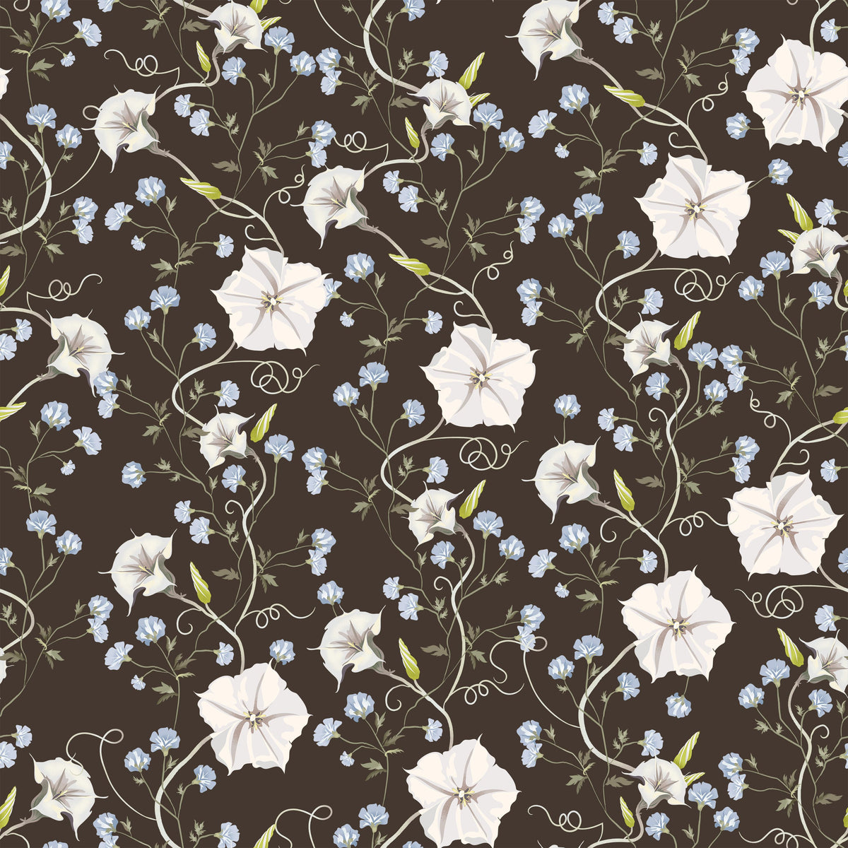 Trailing Morning Glory, Walnut Mural Wallpaper - pure wallpaper artwork