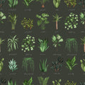 House Plant Green Mural Wallpaper - pure wallpaper artwork