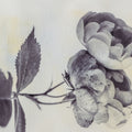 Subtle Rose Mural Wallpaper - pure wallpaper artwork