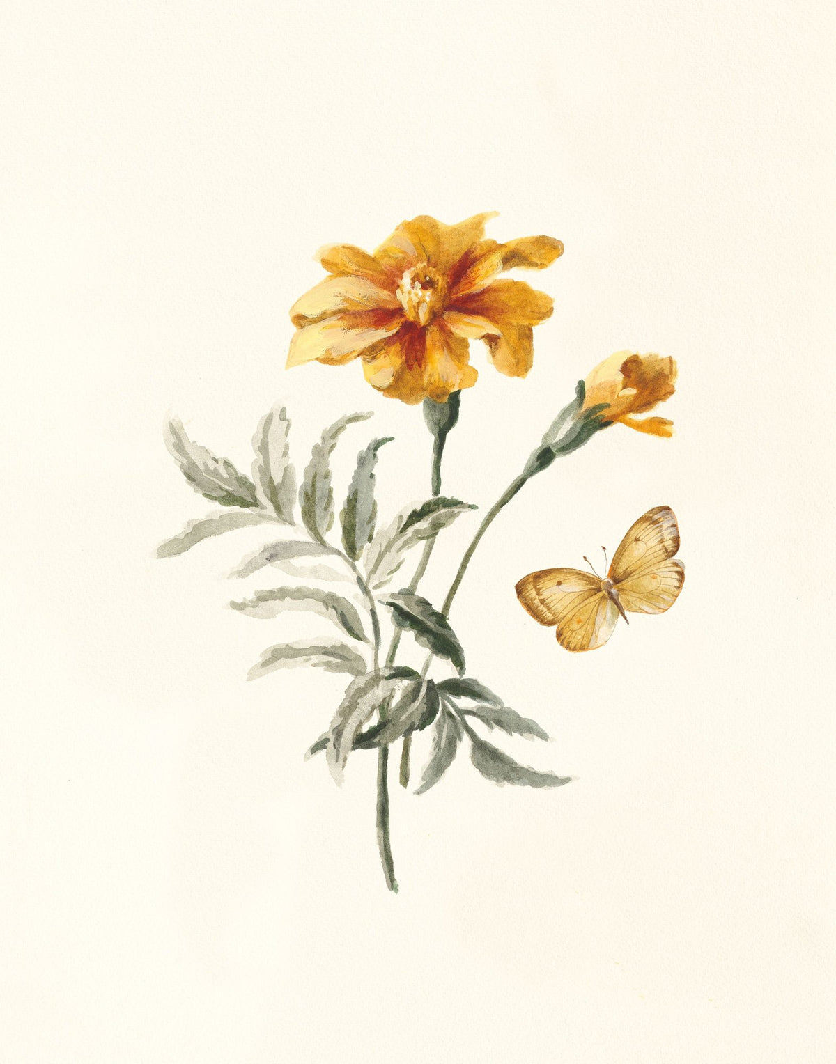 Autumn Marigold II Mural Wallpaper - pure wallpaper artwork