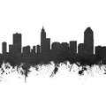 Raleigh North Carolina Skyline Black & White Mural Wallpaper - pure wallpaper artwork