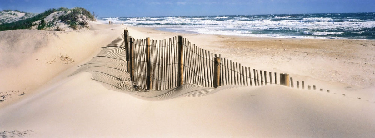 Dune Pathway Mural Wallpaper - pure wallpaper artwork