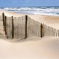 Dune Pathway Mural Wallpaper - pure wallpaper artwork