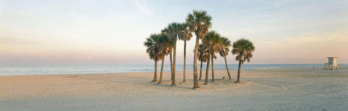 Sunset Palms Lookout Mural Wallpaper - pure wallpaper artwork