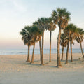 Sunset Palms Lookout Mural Wallpaper - pure wallpaper artwork