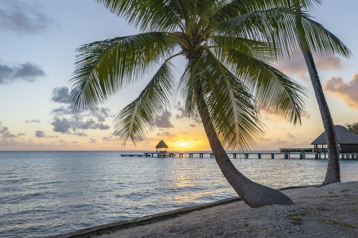 Rangiroa Sunset Mural Wallpaper - pure wallpaper artwork