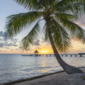 Rangiroa Sunset Mural Wallpaper - pure wallpaper artwork