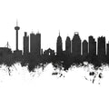 San Antonio Texas Skyline Black & White Mural Wallpaper - pure wallpaper artwork
