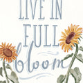 Sunflower Season VI White Mural Wallpaper - pure wallpaper artwork