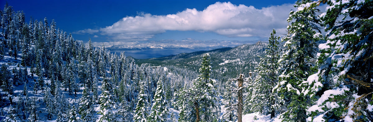 Alpine Tranquility Mural Wallpaper - pure wallpaper artwork