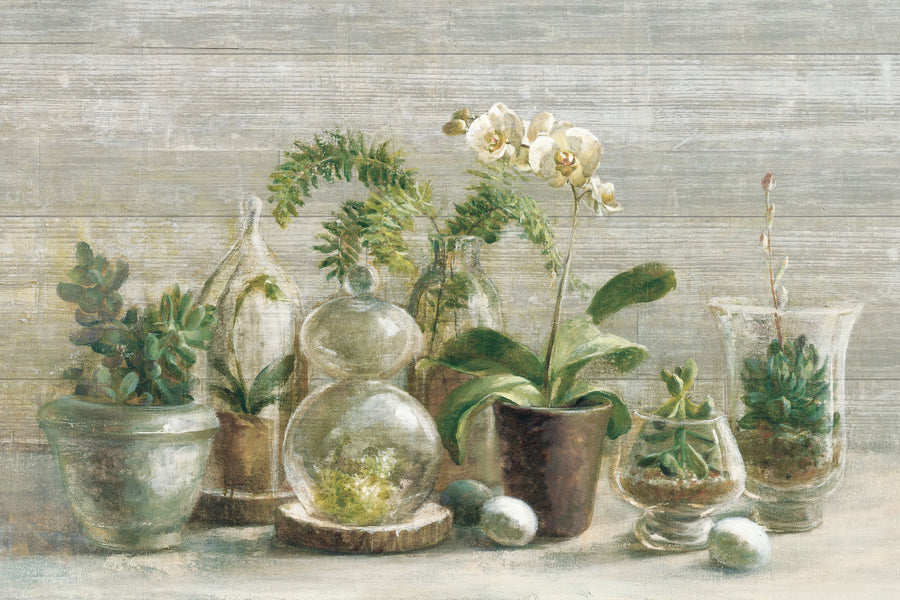 Greenhouse Orchids on Wood V2 Mural Wallpaper