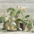 Greenhouse Orchids on Wood V2 Mural Wallpaper - pure wallpaper artwork