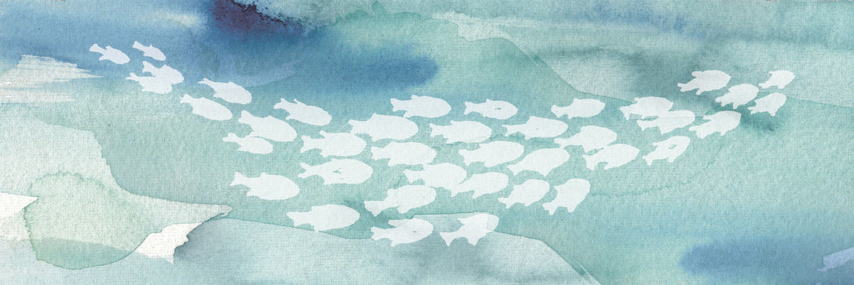 Sea Life II Mural Wallpaper - pure wallpaper artwork