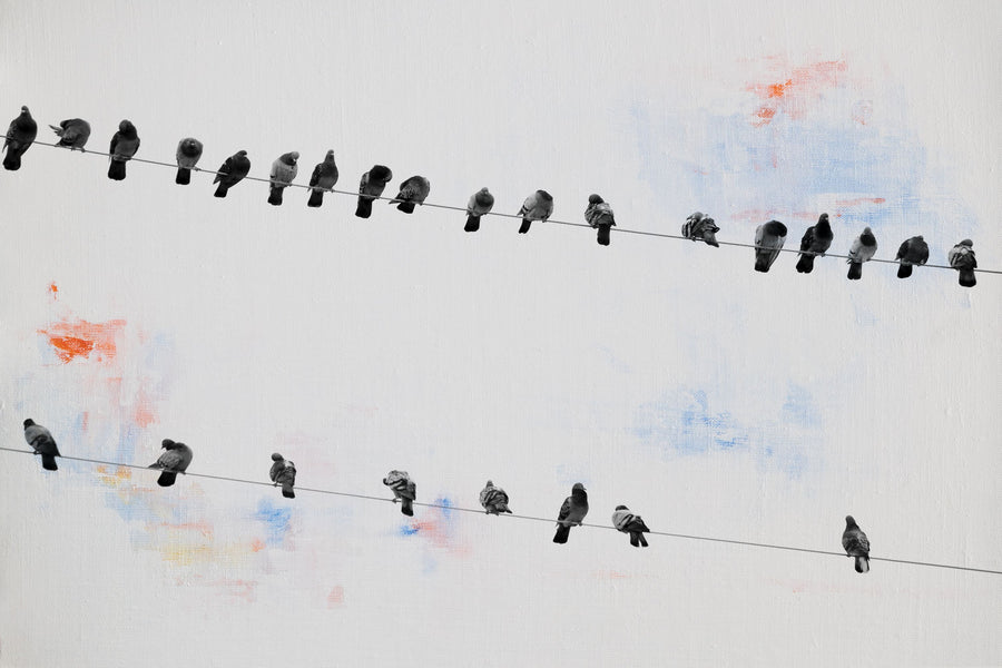 Birds on a Wire Mural Wallpaper