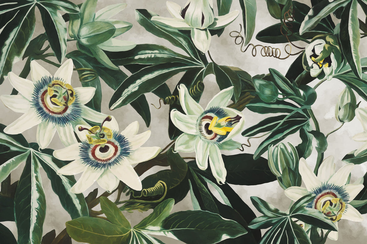 Passion Flowers Mural Wallpaper - pure wallpaper artwork