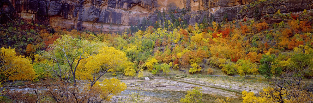 Canyon Autumn Splendor Mural Wallpaper - pure wallpaper artwork