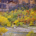Canyon Autumn Splendor Mural Wallpaper - pure wallpaper artwork