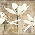 Pencil Floral III Mural Wallpaper - pure wallpaper artwork