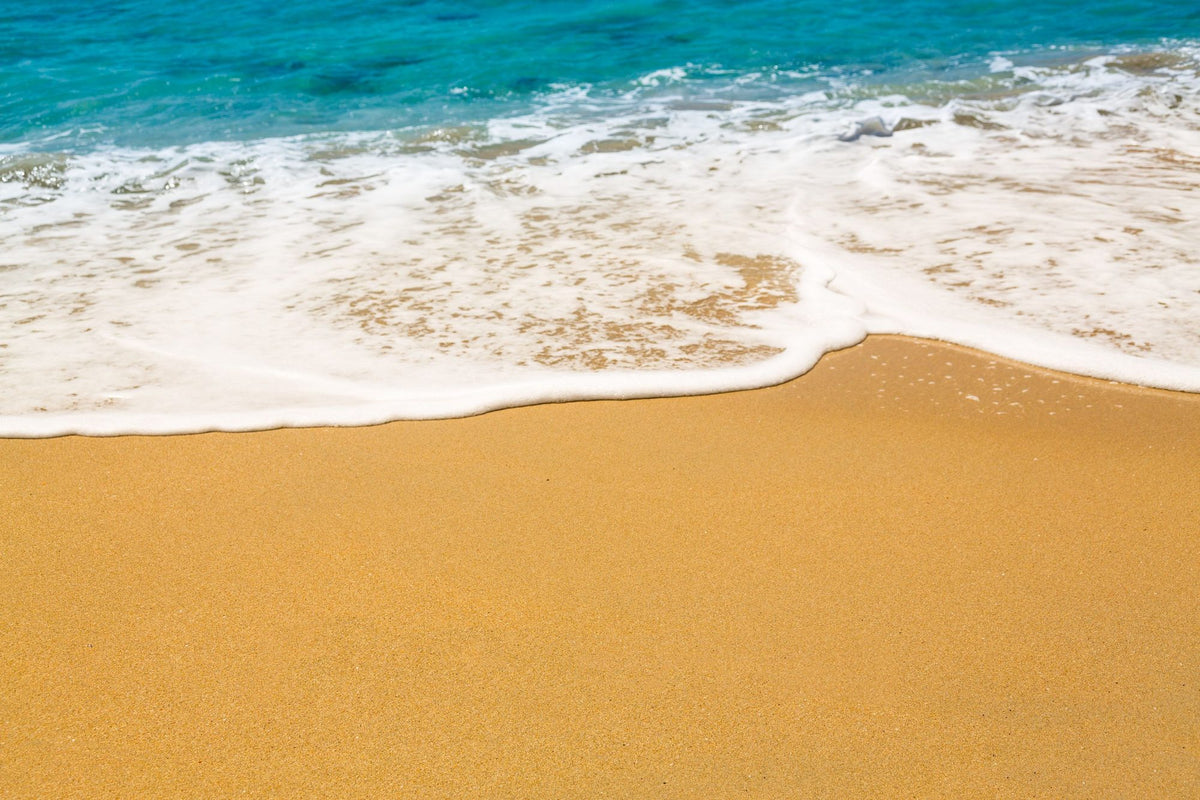 Beach Time Natural Mural Wallpaper - pure wallpaper artwork