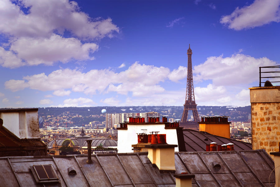 Parisian Rooftop Vista Mural Wallpaper