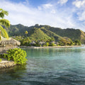 Sea Views Mural Wallpaper - pure wallpaper artwork