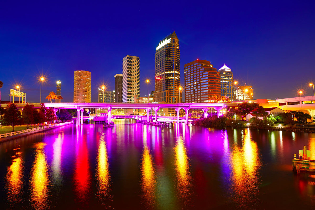 Tampa Skyline Mural Wallpaper - pure wallpaper artwork