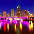 Tampa Skyline Mural Wallpaper - pure wallpaper artwork
