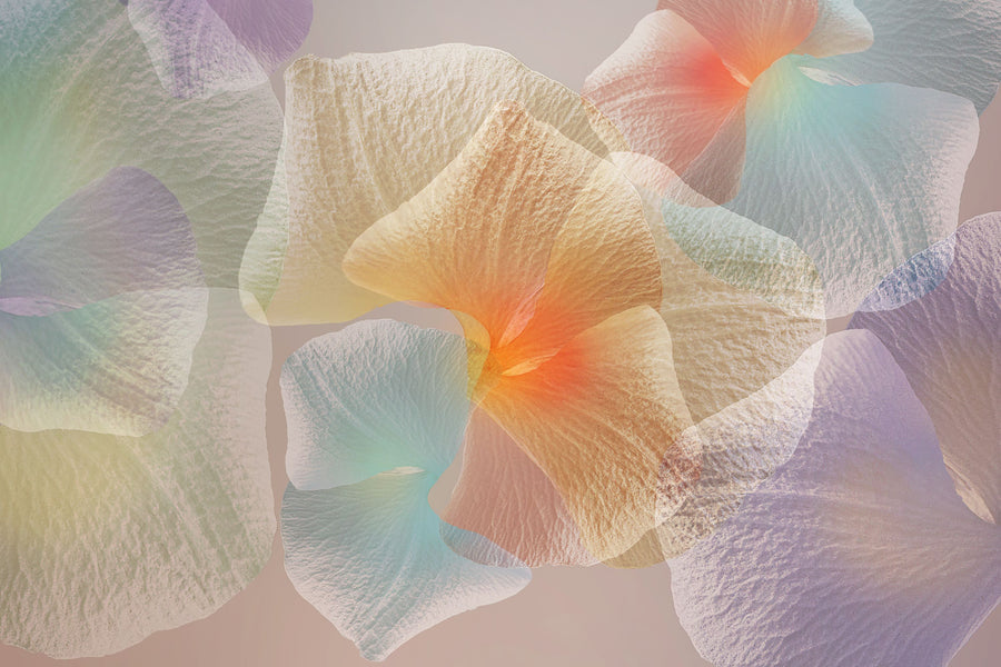 Pastel Floral Mural Wallpaper
