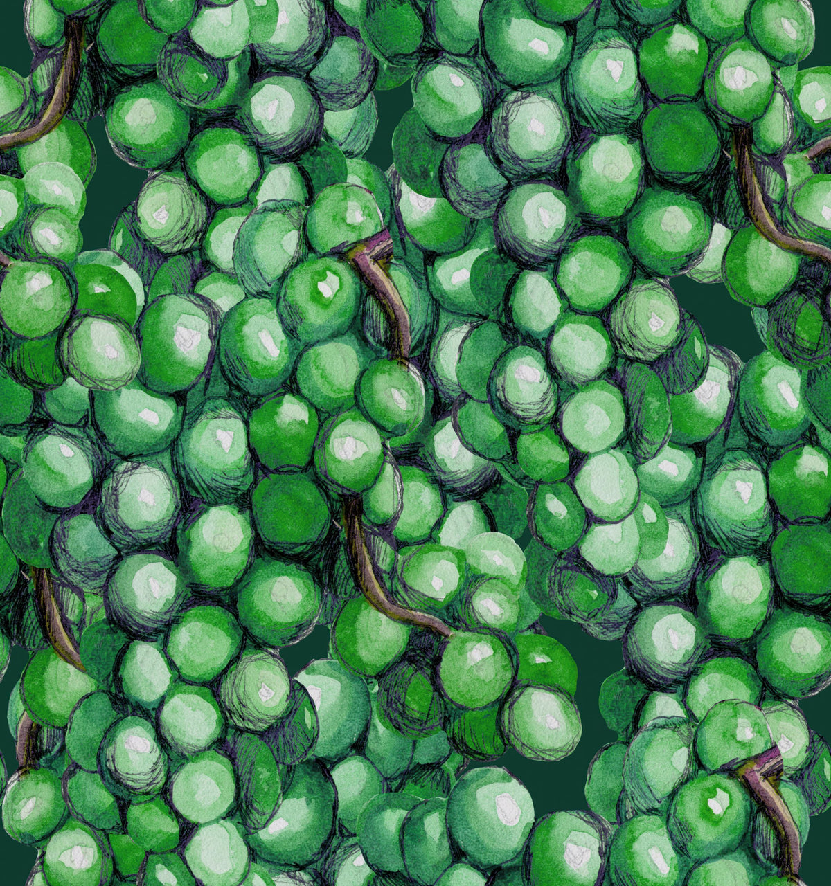 Vintage Grapes Mural Wallpaper - pure wallpaper artwork