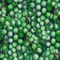 Vintage Grapes Mural Wallpaper - pure wallpaper artwork