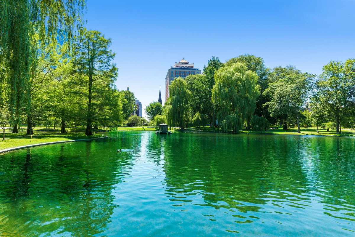 Boston Common Lake Mural Wallpaper - pure wallpaper artwork