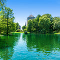 Boston Common Lake Mural Wallpaper - pure wallpaper artwork