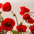 Red Poppy Mural Wallpaper - pure wallpaper artwork