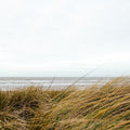 Fall Beach Mural Wallpaper - pure wallpaper artwork