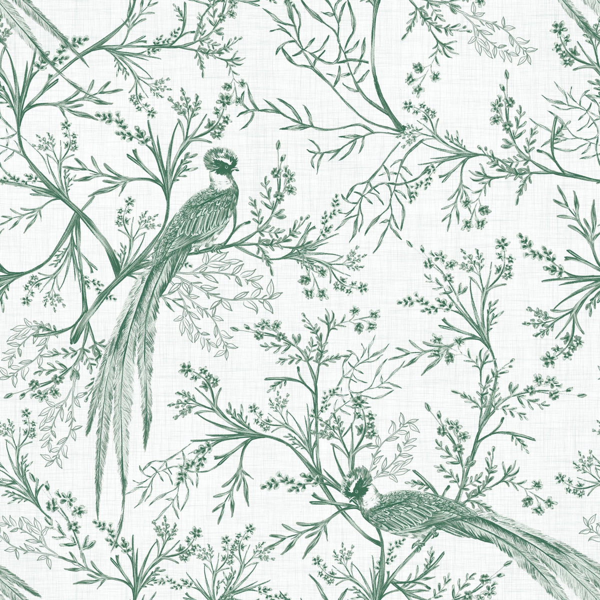 Mocinno Pine Mural Wallpaper - pure wallpaper artwork