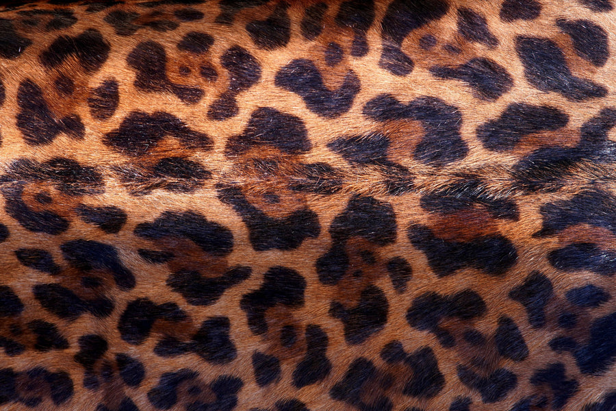 Jaguar Fur Texture Mural Wallpaper