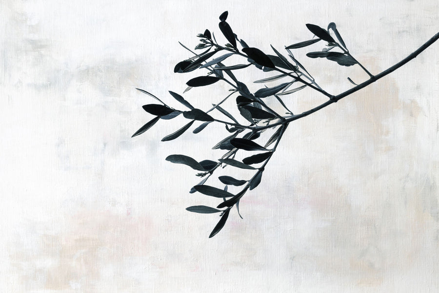 Olive Branch Mural Wallpaper