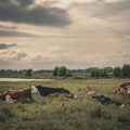 Rest on the River Mural Wallpaper - pure wallpaper artwork