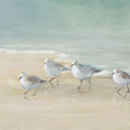 Tranquil Shorebirds on the Sand Mural Wallpaper - pure wallpaper artwork