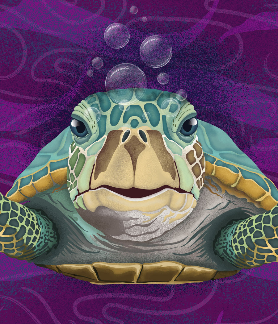 Hello Turtle, Purple Mural Wallpaper