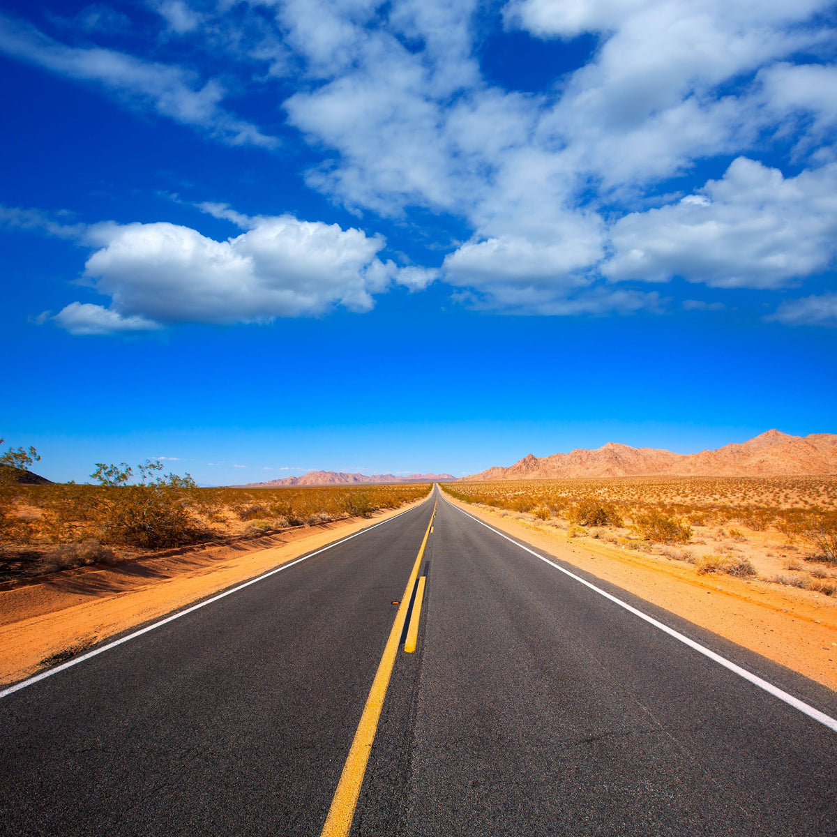 Route 66 Roadtrip Mural Wallpaper - pure wallpaper artwork