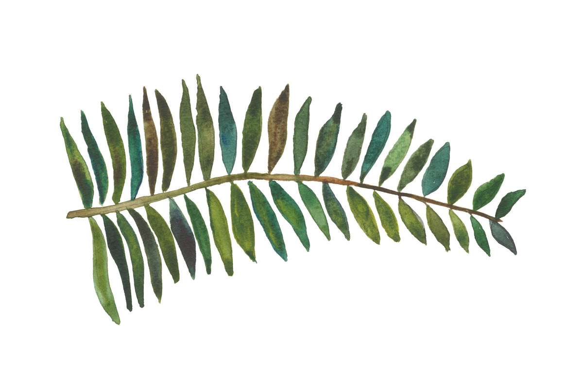 Forest Fern II Mural Wallpaper - pure wallpaper artwork