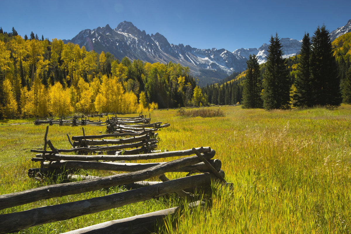 Mountain Meadow Path Mural Wallpaper - pure wallpaper artwork