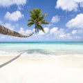 Hanging Palm Tree Mural Wallpaper - pure wallpaper artwork
