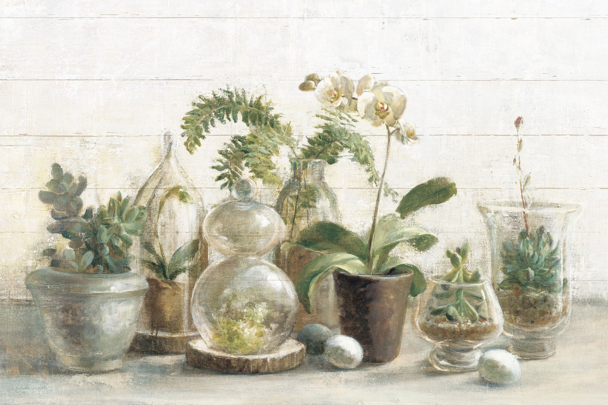 Greenhouse Orchids on Shiplap Mural Wallpaper - pure wallpaper artwork
