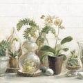 Greenhouse Orchids on Shiplap Mural Wallpaper - pure wallpaper artwork
