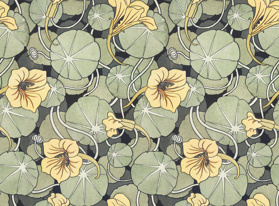 Nasturtium Verdure, Citrus Mural Wallpaper