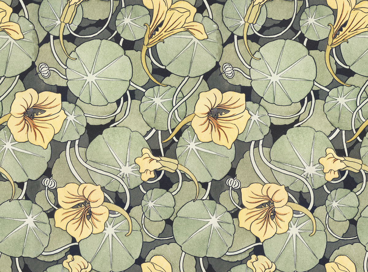 Nasturtium Verdure, Citrus Mural Wallpaper - pure wallpaper artwork
